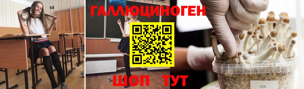 Людиново  Галлюциногенные грибы ЛСД  Вход с VPN 